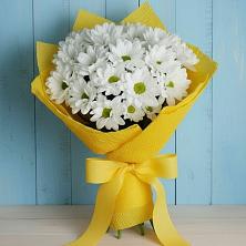 Букет цветов из:  Хризантемы в Сосновке