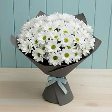 Букет цветов из:  Хризантемы в Сосновке