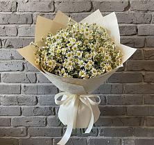 Букет цветов из:  Ромашки #REPLACE_PRED# Сосновке
