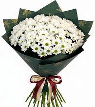 Букет цветов из:  Хризантемы в Сосновке