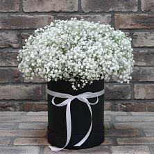 Цветочная композиция из Гипсофила в шляпной коробке в Сосновке