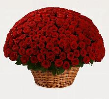 Премиум букет из: Розы #REPLACE_PRED# Сосновке