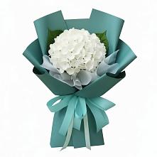 Букет цветов из:  Гортензия #REPLACE_PRED# Сосновке